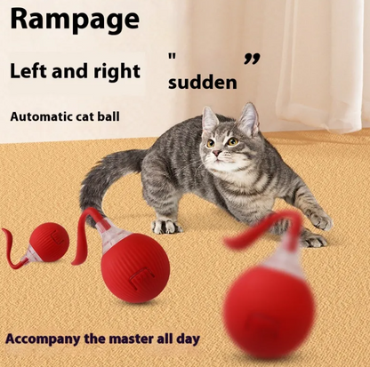 Interactive Cat Ball