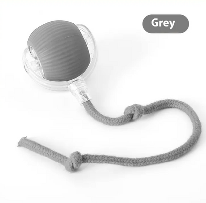 Interactive Cat Ball
